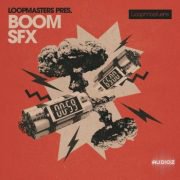 Loopmasters Boom SFX MULTiFORMAT