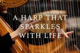 喷火竖琴 – Spitfire Skaila Kanga Harp for Kontakt