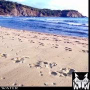 水声音的集合包 – West Wolf Water WAV