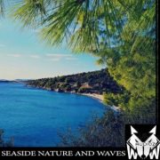 海边沙滩音效 – West Wolf Seaside Nature and Waves WAV
