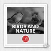 动物与大自然音效 – Big Room Sound Birds and Nature WAV