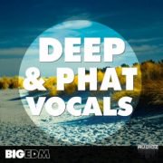 Big EDM Deep and Phat Vocals WAV MIDI FXB-SYNTHiC4TE