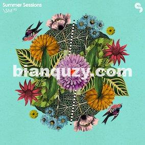 Sample Magic Summer Sessions Inspiration Loops Wav/Rex2/Apple Loops
