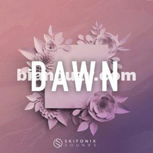 Skifonix Sounds Dawn Future House WAV MiDi SYNTH PRESETS DAW TEMPLATE-DISCOVER