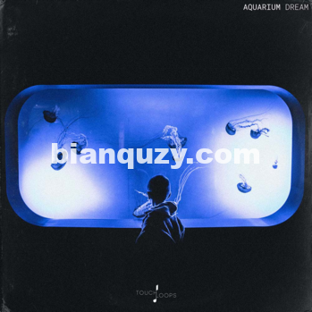 空灵的器乐循环 – Touch Loops Aquarium Dream WAV MiDi-DISCOVER