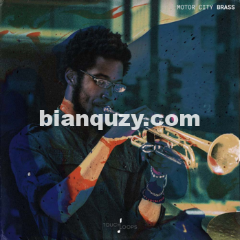 小号循环 – Touch Loops Motor City Brass WAV-DISCOVER