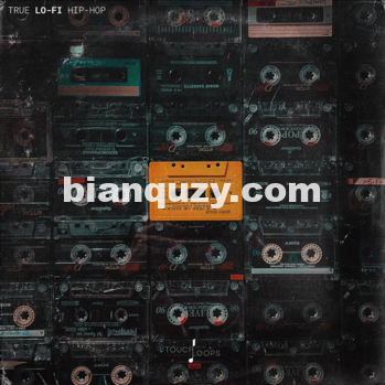 启发性的嘻哈旋律循环 – Touch Loops True Lo-Fi Hip Hop WAV-DISCOVER