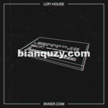 BVKER Lo-Fi House WAV MiDi-DISCOVER