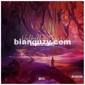 Black Octopus Sound Cinematic Sounds Valhalla Choirs WAV-DECiBEL