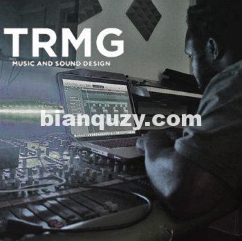 T R M G Beat Co 21 Sample Packs Bundle WAV