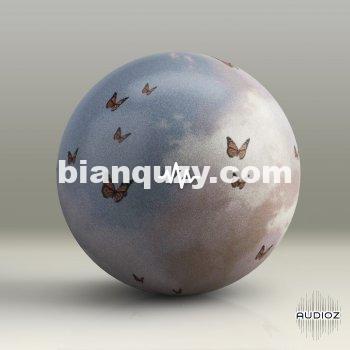 WavSupply nico baran Exotic Vol. 2 (One-Shot Kit) WAV