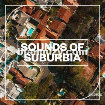 郊区音效 – Blastwave FX Sounds of Suburbia WAV