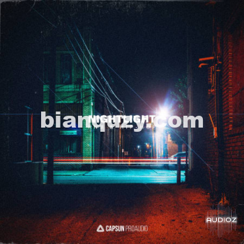 RnB嘻哈素材 – Capsun Pro Audio Nightlight RnB & Hip Hop WAV