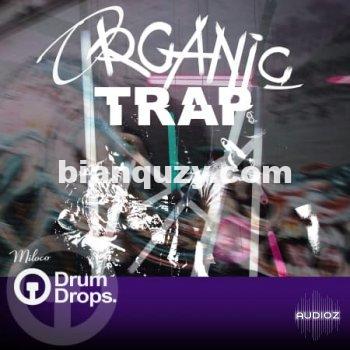 Drumdrops Organic Trap WAV-FLARE