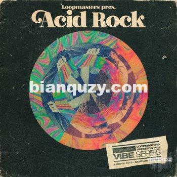 Loopmasters VIBES Vol 8 Acid Rock WAV REX
