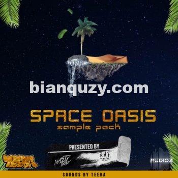 旋律素材 – NastyTrax Space Oasis WAV-FLARE
