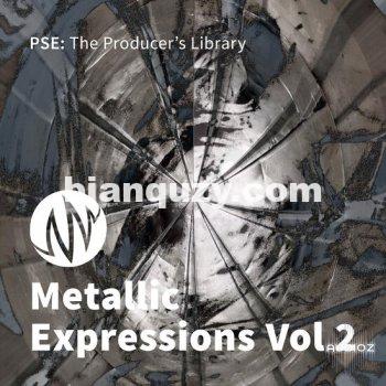 各种金属声音 – PSE The Producers Library Metallic Expressions Vol 2 WAV-DECiBEL