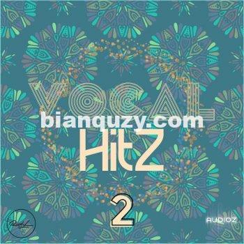 Roundel Sounds Vocal Hits Vol 2 MULTiFORMAT-DECiBEL