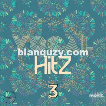 Roundel Sounds Vocal Hits Vol 3 MULTiFORMAT-DECiBEL