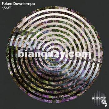 Sample Magic Future Downtempo WAV-FLARE