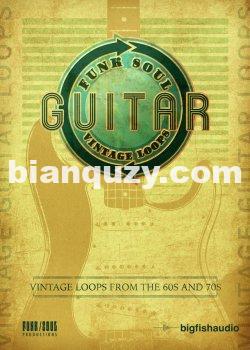 复古吉他循环素材 – Big Fish Audio Vintage Guitar Loops MULTiFORMAT
