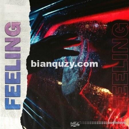 Cartel Loops Feeling [WAV]