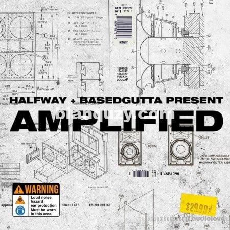 Halfway & Based Gutta Amplified Vol.9 (ElectraX Bank) [Synth Presets]