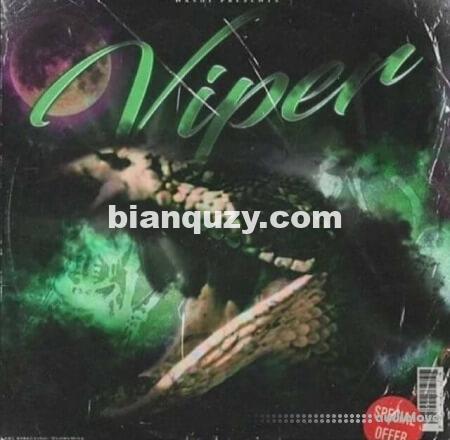 Nashi Viper Drum Kit [WAV, MiDi, Synth Presets]