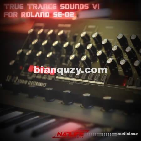 NatLife Sounds True Trance Sounds V1 for Roland SE-02 [Synth Presets]