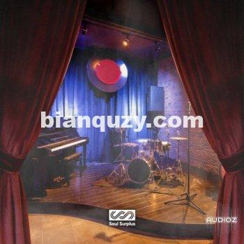 Soul Surplus In The Cut WAV