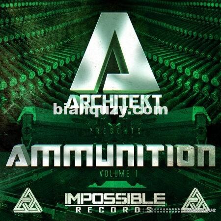 Massive预设 – Impossible Records Architekt presents Ammunition Vol.1 [Synth Presets]