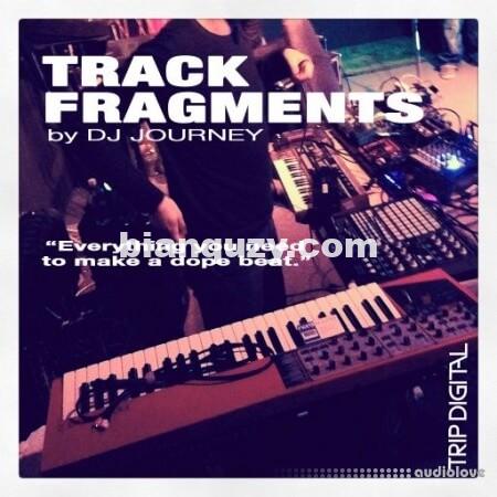 Trip Digital Track Fragments [WAV]