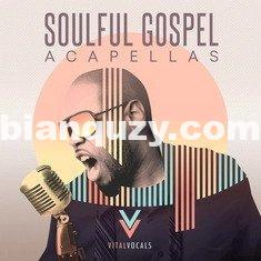 人声素材 – Vital Vocals Soulful Gospel Vocals MULTiFORMAT-FLARE