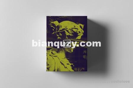 WavSupply mjNichols Epoch [Synth Presets]