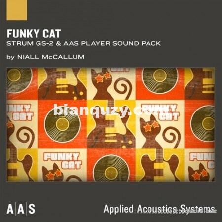 Applied Acoustics Systems Funky Cat GS-2 Soundpack [Synth Presets]