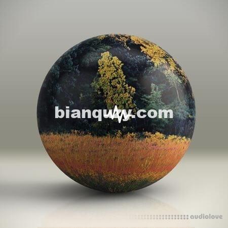 WavSupply Nash Alluring (Guitar Loop Kit) [WAV]