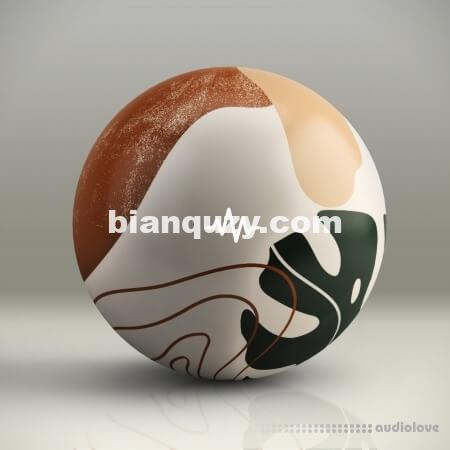 WavSupply nico baran Desert Loop Kit [WAV]