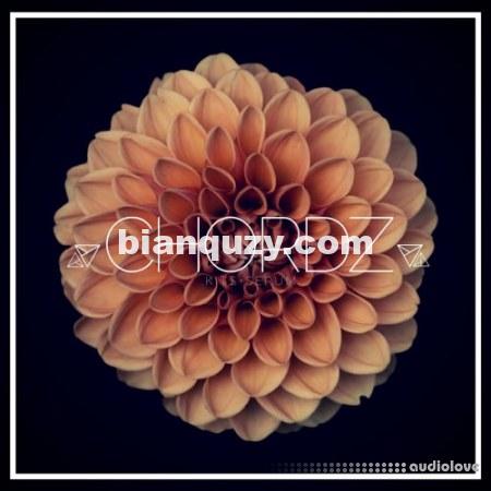 Unmute Chordz Kits [WAV, MiDi, Synth Presets]