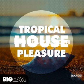 Big EDM Tropical House Pleasure WAV MiDi SERUM SPIRE SYLENTH