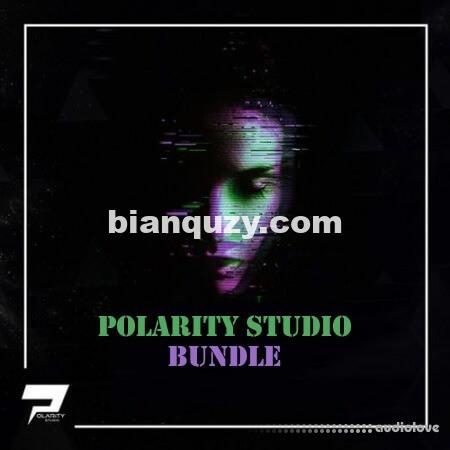 Polarity Studio BUNDLE 13-in-1 [MULTiFORMAT]