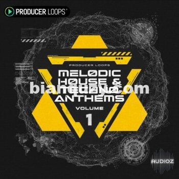 Producer Loops Melodic House and Techno Anthems Vol 1 MULTiFORMAT-DECiBEL