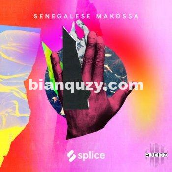 Splice Sessions Senegalese Makossa WAV-FANTASTiC
