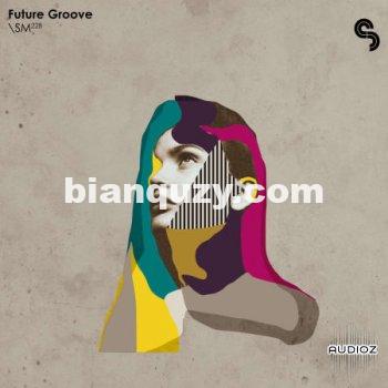 Sample Magic Future Groove WAV XFER RECORDS SERUM-FANTASTiC