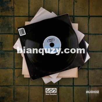 旋律循环 – Soul Surplus Hidden Gems WAV-FANTASTiC