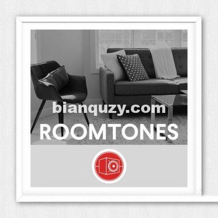 房间类音效 – Big Room Sound Roomtones [WAV]