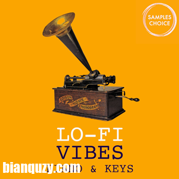 Samples Choice Lo-Fi Vibes Piano And Keys WAV MiDi-DISCOVER