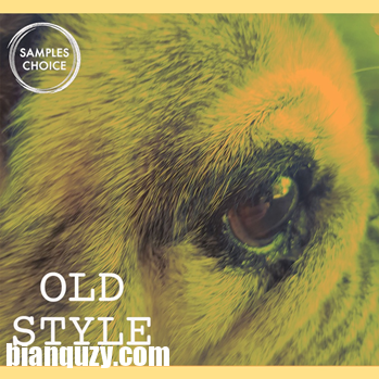 Samples Choice Old Style WAV MiDi-DISCOVER