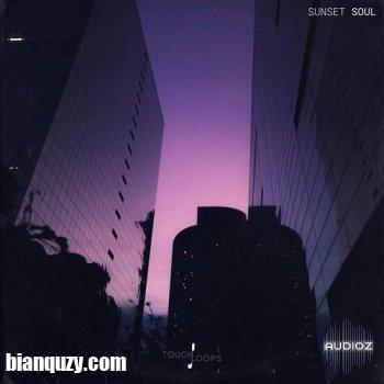 Lo-Fi Soul采样包 – Touch Loops Sunset Soul WAV-DECiBEL