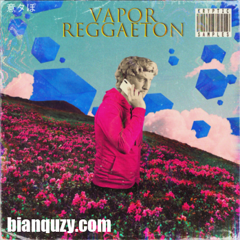 Kryptic Samples Vapor Reggaeton WAV MiDi-DISCOVER