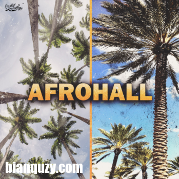 Cartel Loops Afrohall WAV MiDi-DISCOVER